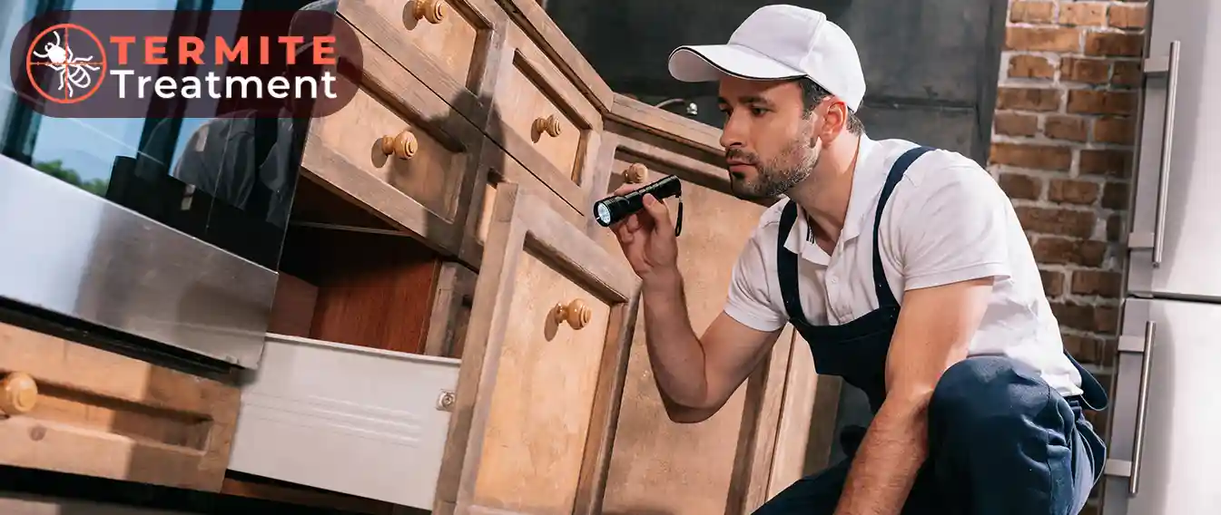 Pest control professional inspecting a wooden structure for termite infestation.