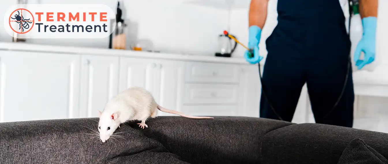 Pest control professional preparing to deal with a rodent problem in a residential home.