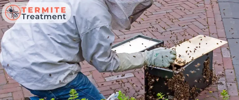 Pest control professional performing termite treatment outdoors.