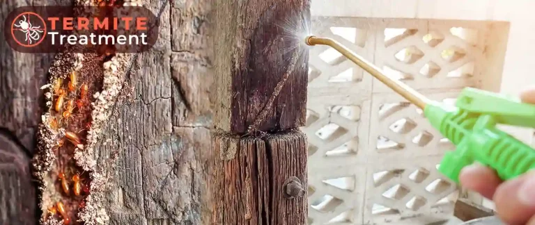 Applying chemical treatment to wood infested with termites.