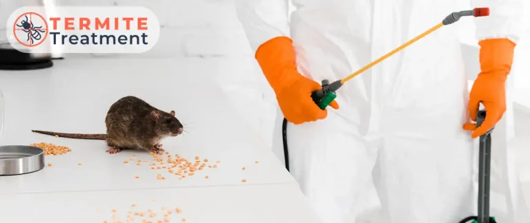 Pest control professional applying treatment with a rat in the foreground.