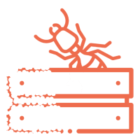 An illustrated ant, resembling those targeted by termite treatment services, walking on wooden planks.