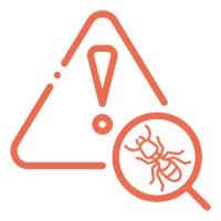 Warning sign with an exclamation mark and a termite under a magnifying glass.