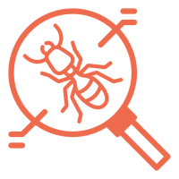 Magnifying glass focusing on an illustrated termite.